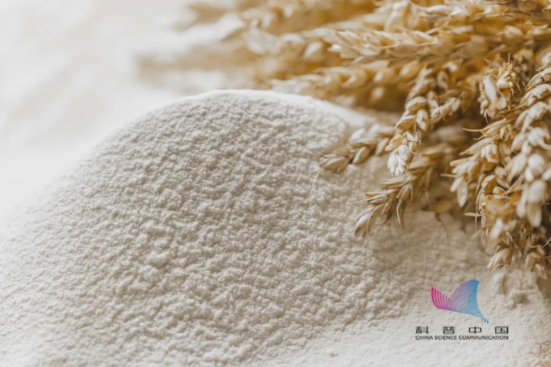 家里的米面為啥憑空出現(xiàn)小蟲？